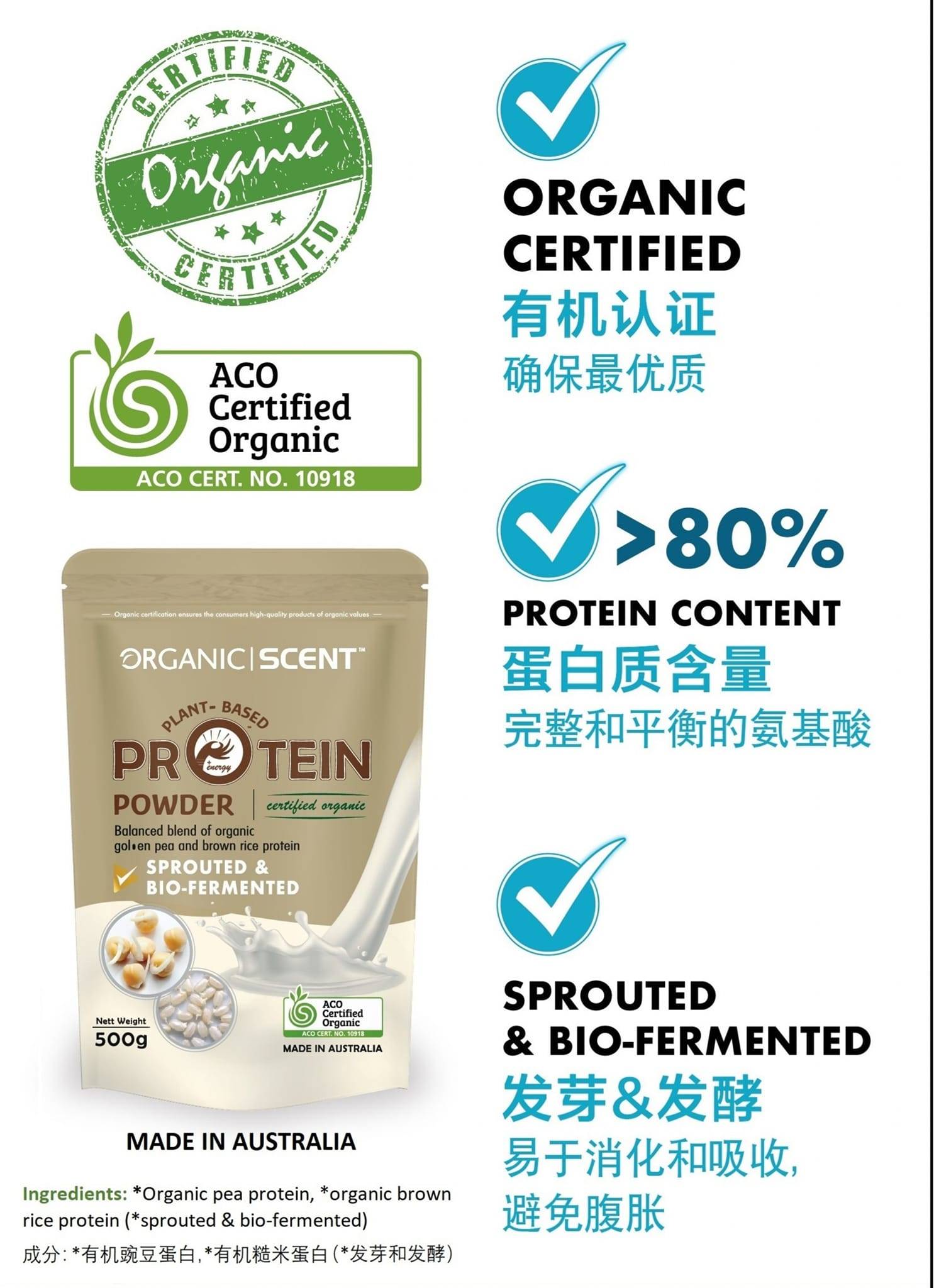 ORGANIC SCENTPLANT BASED PROTEIN POWDER 500GM